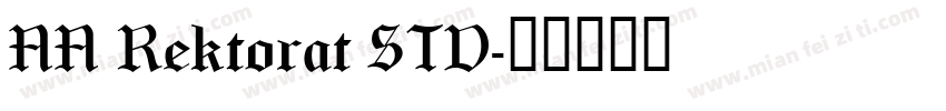 NN Rektorat STD字体转换